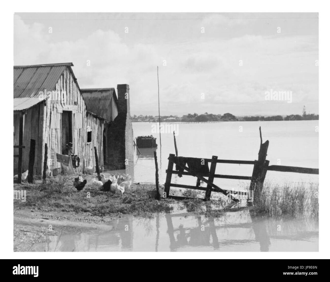 South Creek in Windsor, New South Wales, während der Überschwemmung 1949, aufgenommen auf diesem dramatischen Foto, das die Auswirkungen der Überschwemmung auf das Gebiet zeigt. Stockfoto