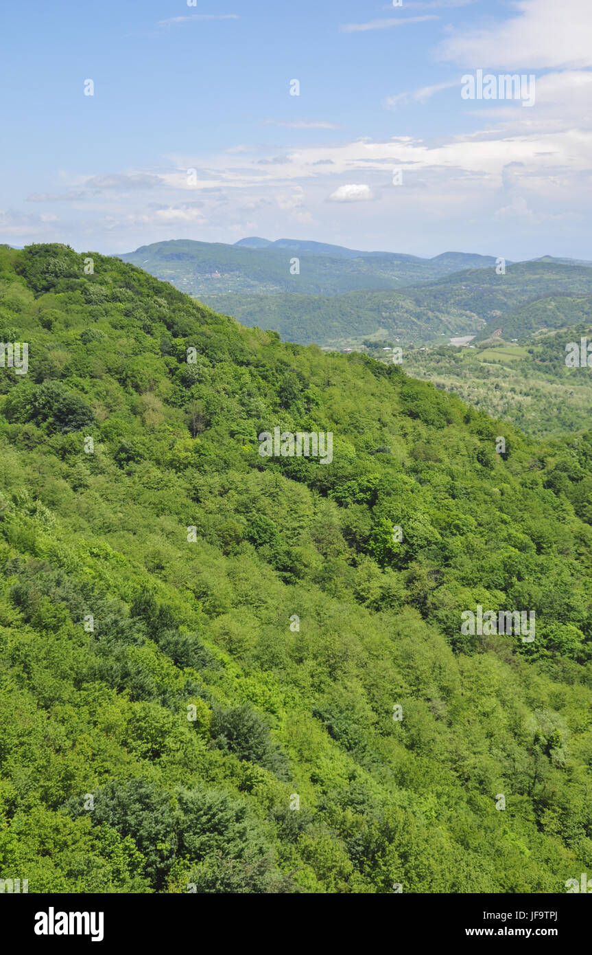 Frühling in Sataplia Nationalpark, Kaukasus Stockfoto