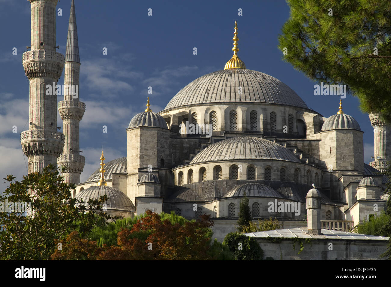 Die Blaue Moschee Stockfoto