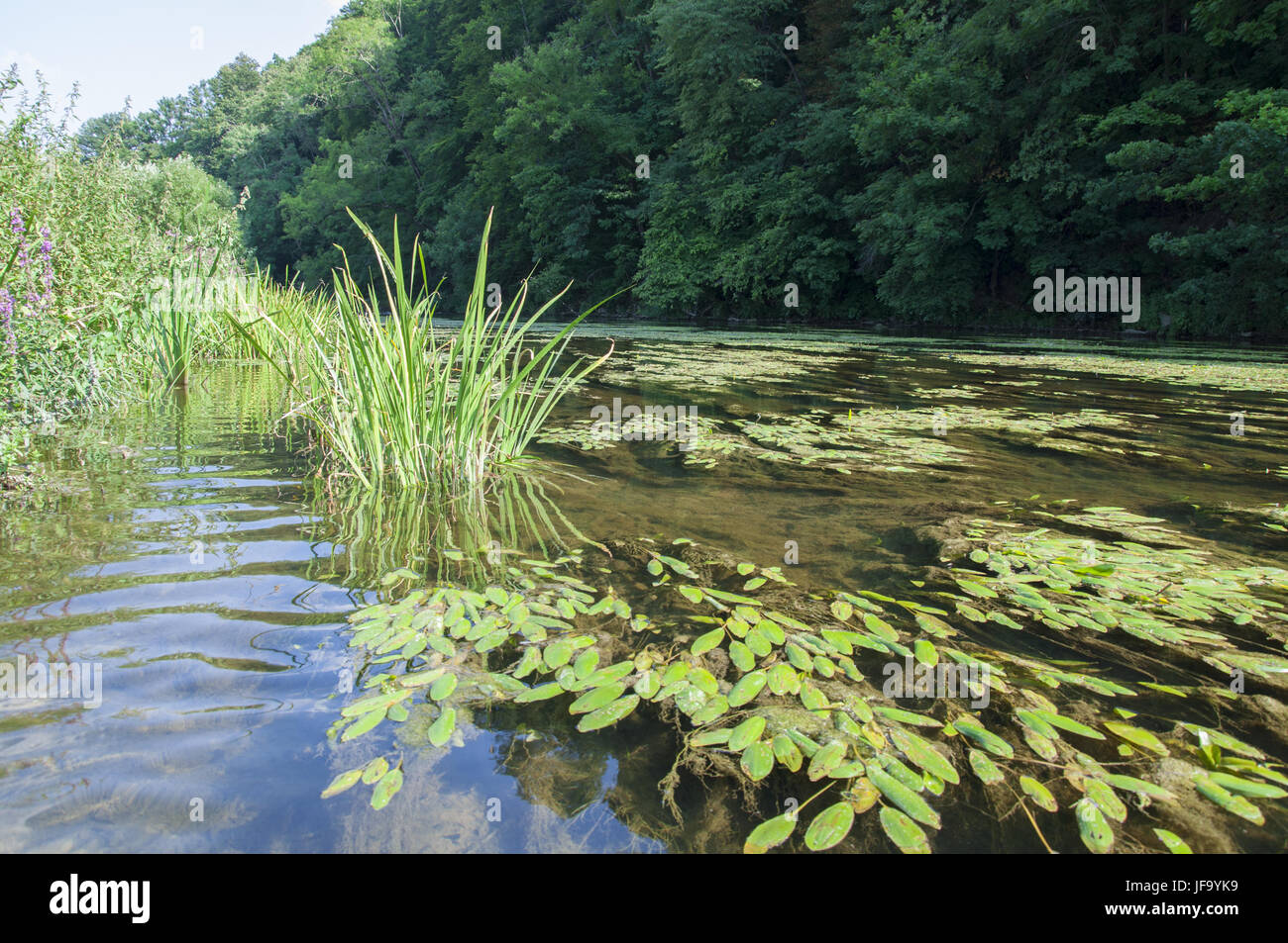 Jagst Fluss in der Nähe von Kirchberg, Deutschland Stockfoto