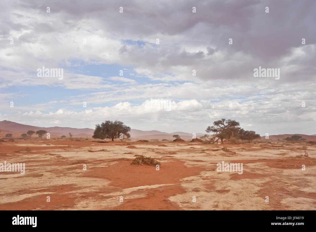 Wüstenlandschaft Stockfoto