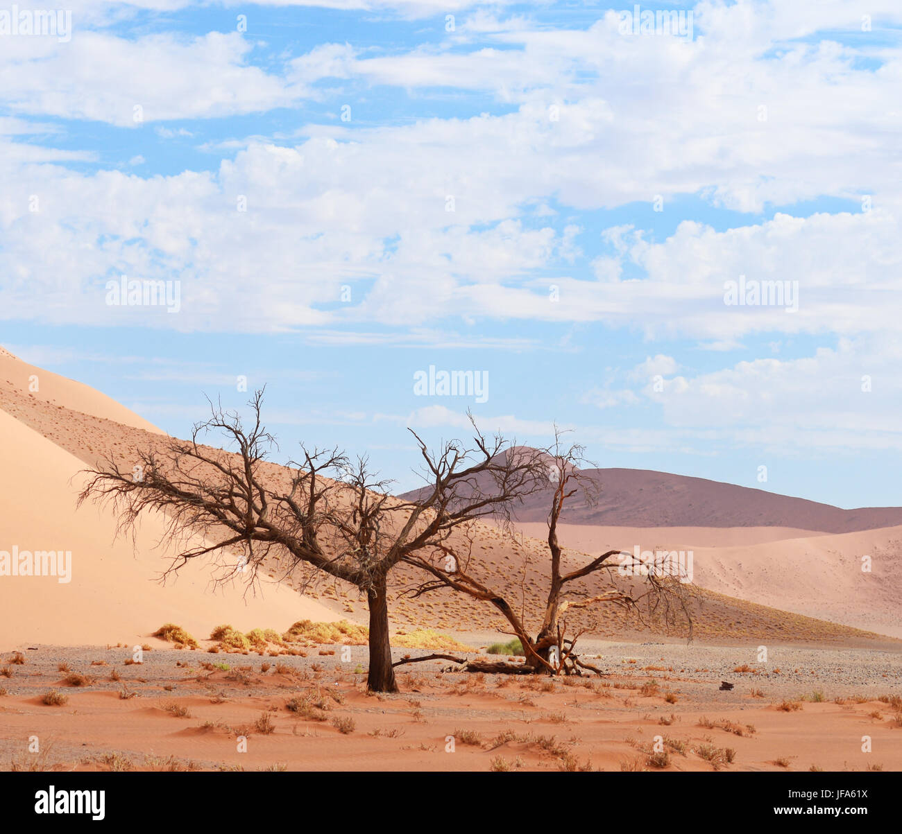 Wüstenlandschaft Stockfoto