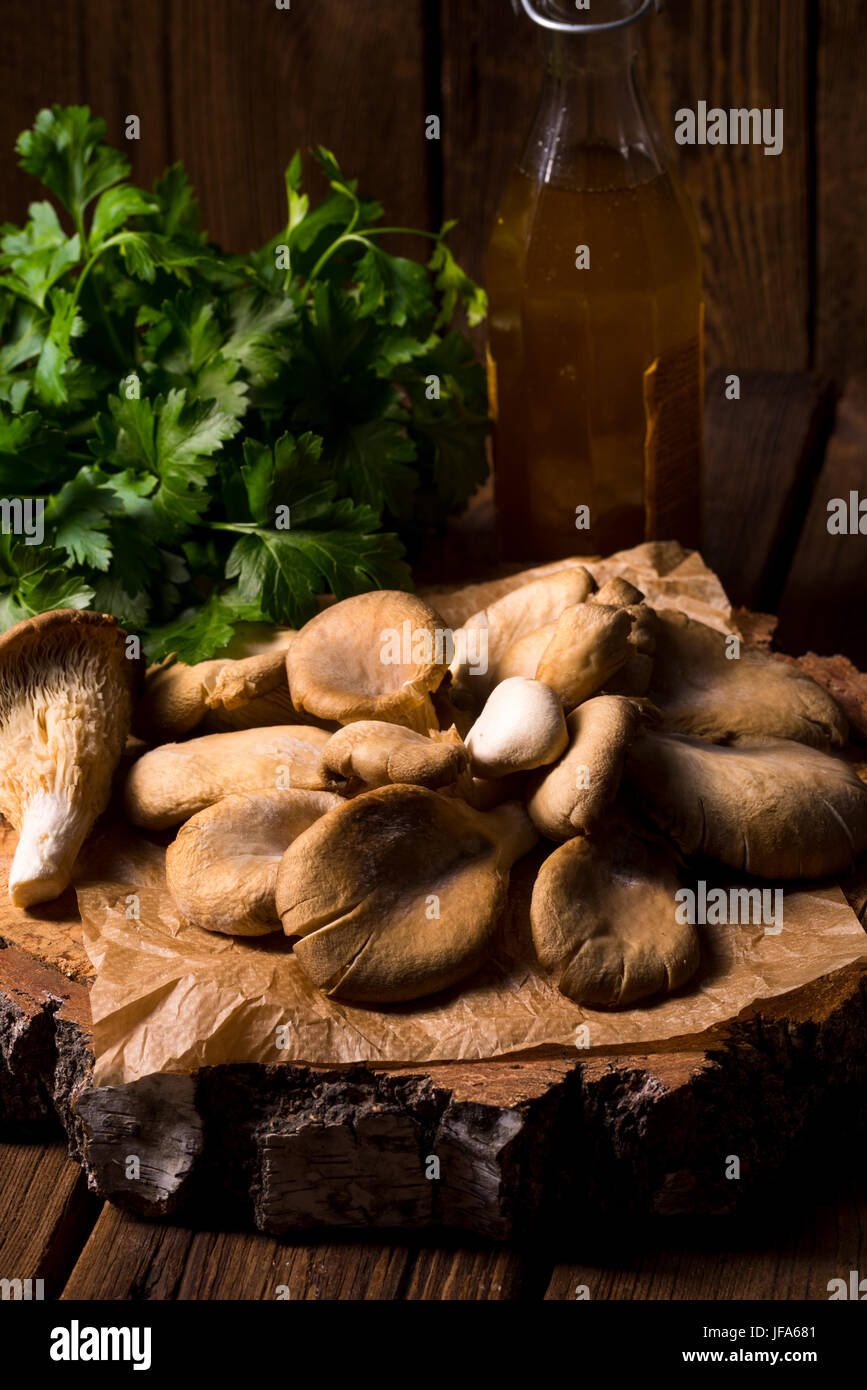 Pleurotus Stockfoto