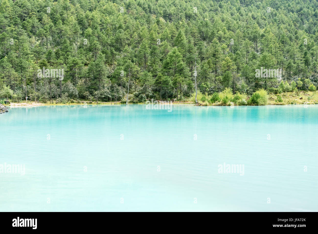 Blue Lake und grünen Wald Stockfoto