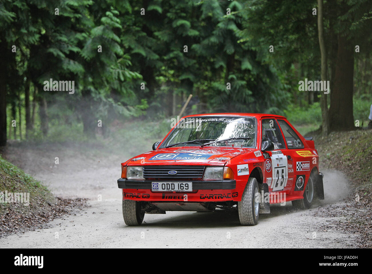 Goodwood, UK. 30. Juni 2017. Rallye-Auto packt die Forrest Rallye Bühne Credit: Malcolm Greig/Alamy Live News Stockfoto