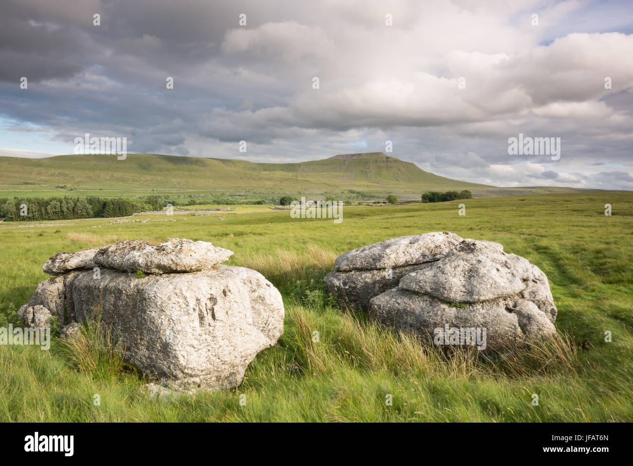 Kalkstein-Felsen und Ingleborough Stockfoto