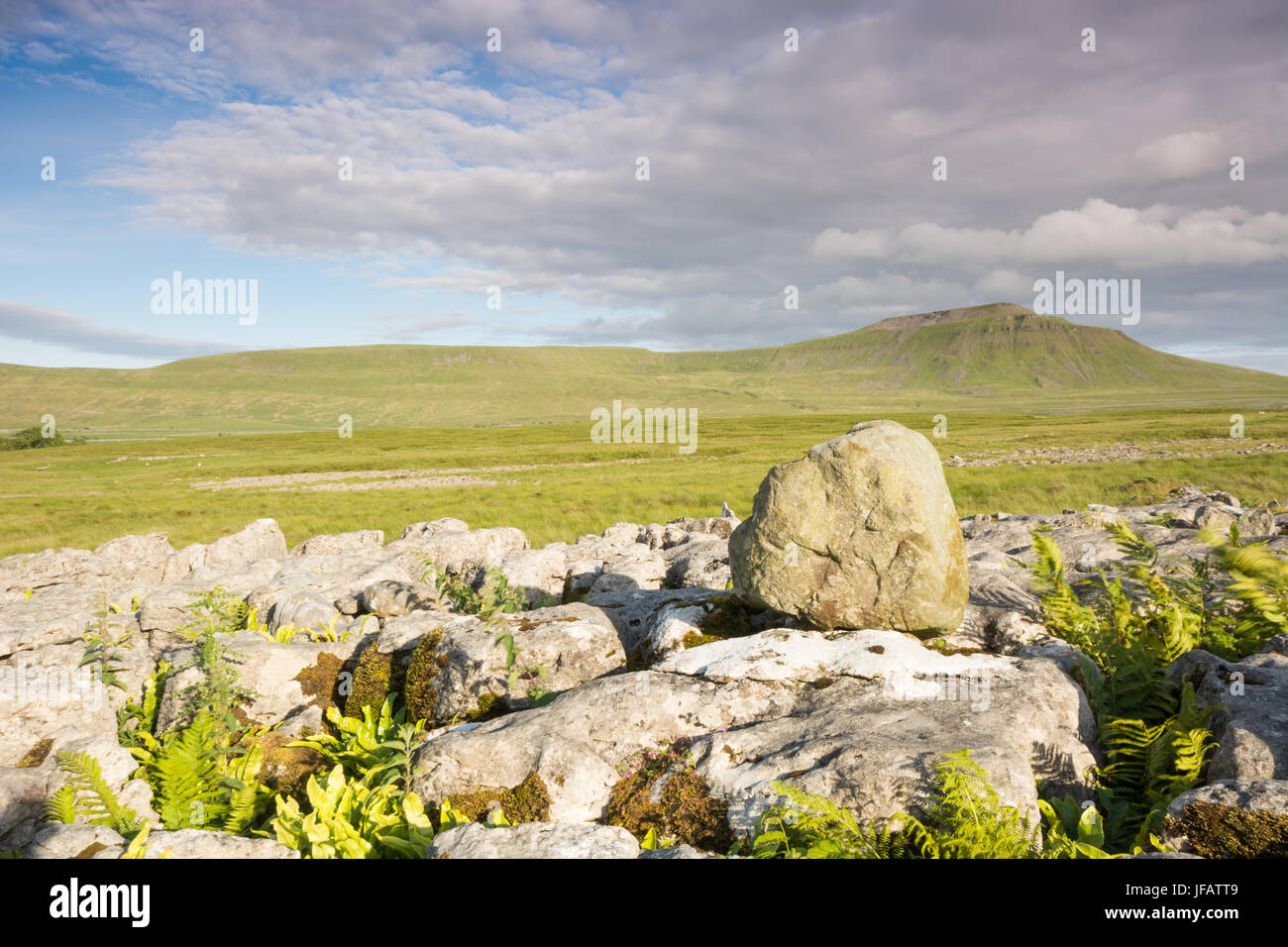 Kalkstein-Felsen und Ingleborough Stockfoto