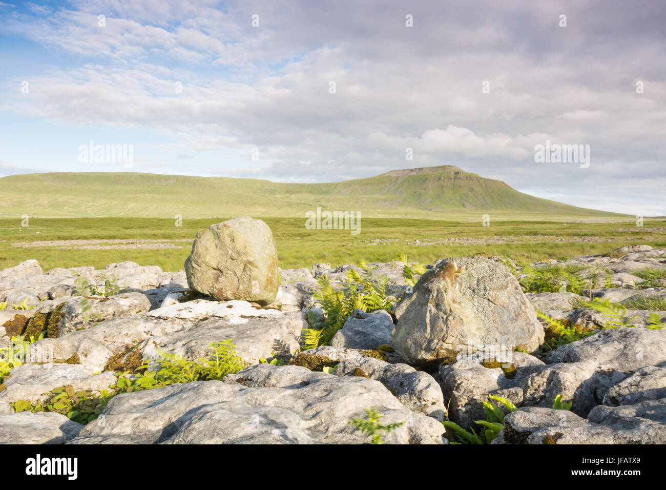 Kalkstein-Felsen und Ingleborough Stockfoto