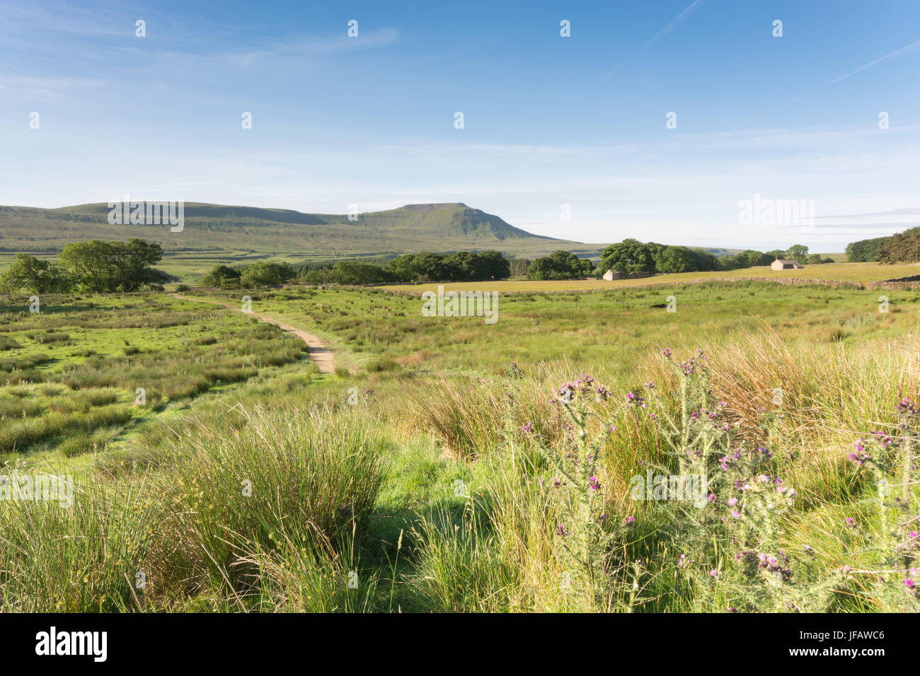 Die 3 Gipfel Weg Ingleborough Stockfoto