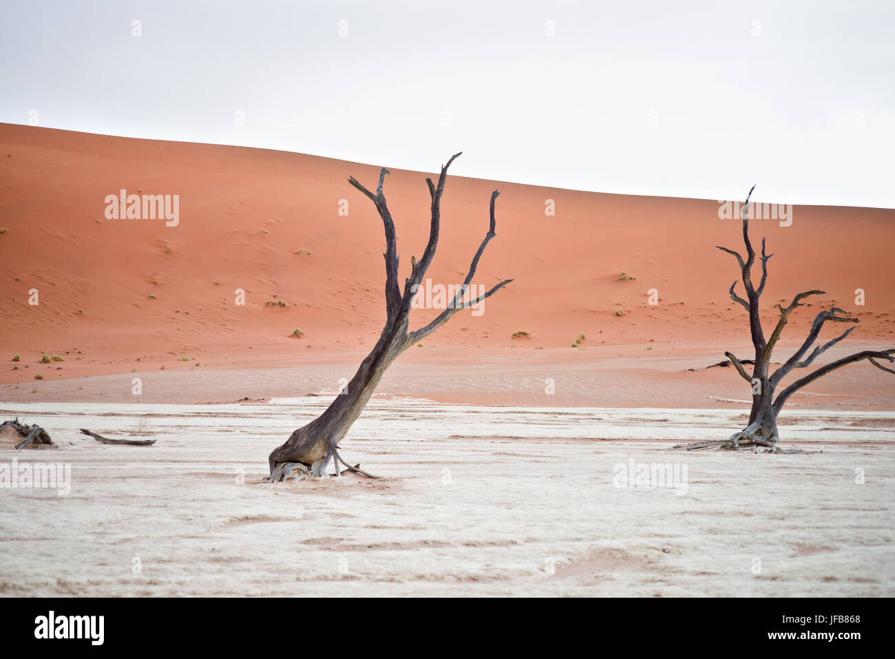 Sossusvlei, Namibia Stockfoto