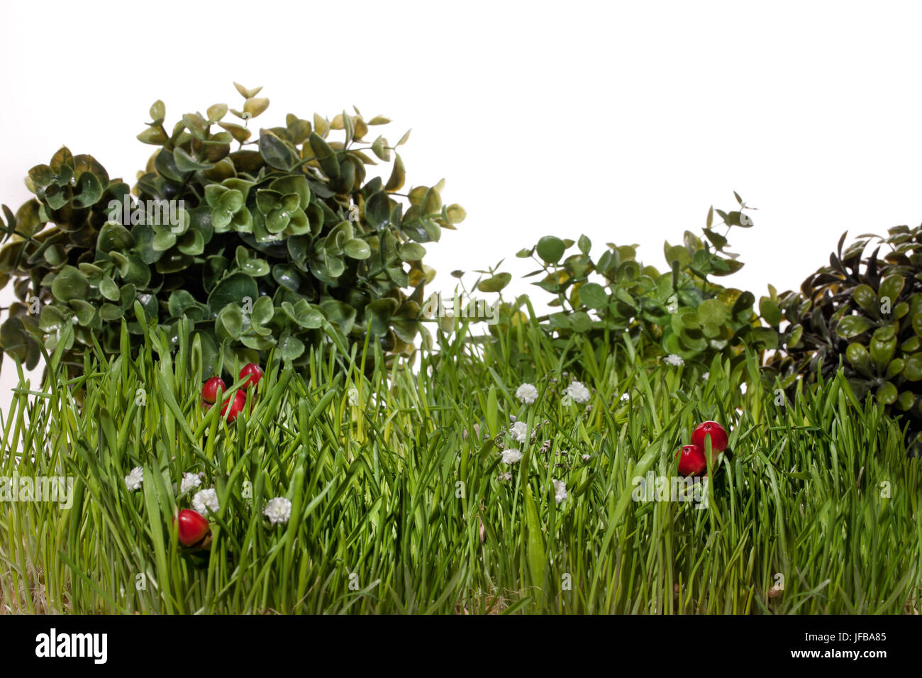 Gras, Blätter und Beeren Stockfoto