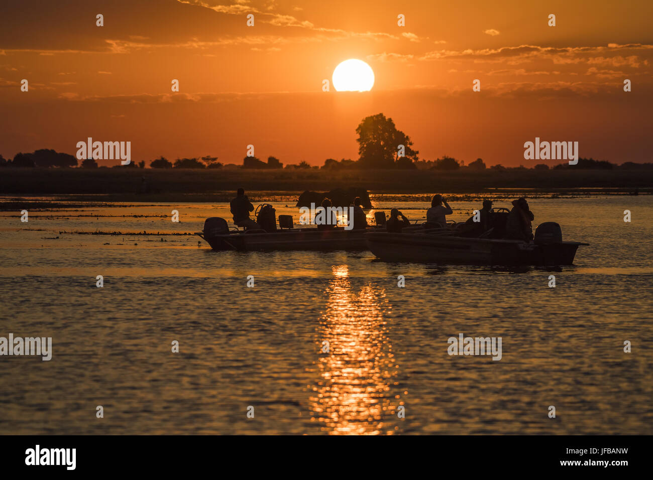 Safari Boot bei Sonnenuntergang auf Chobe Stockfoto