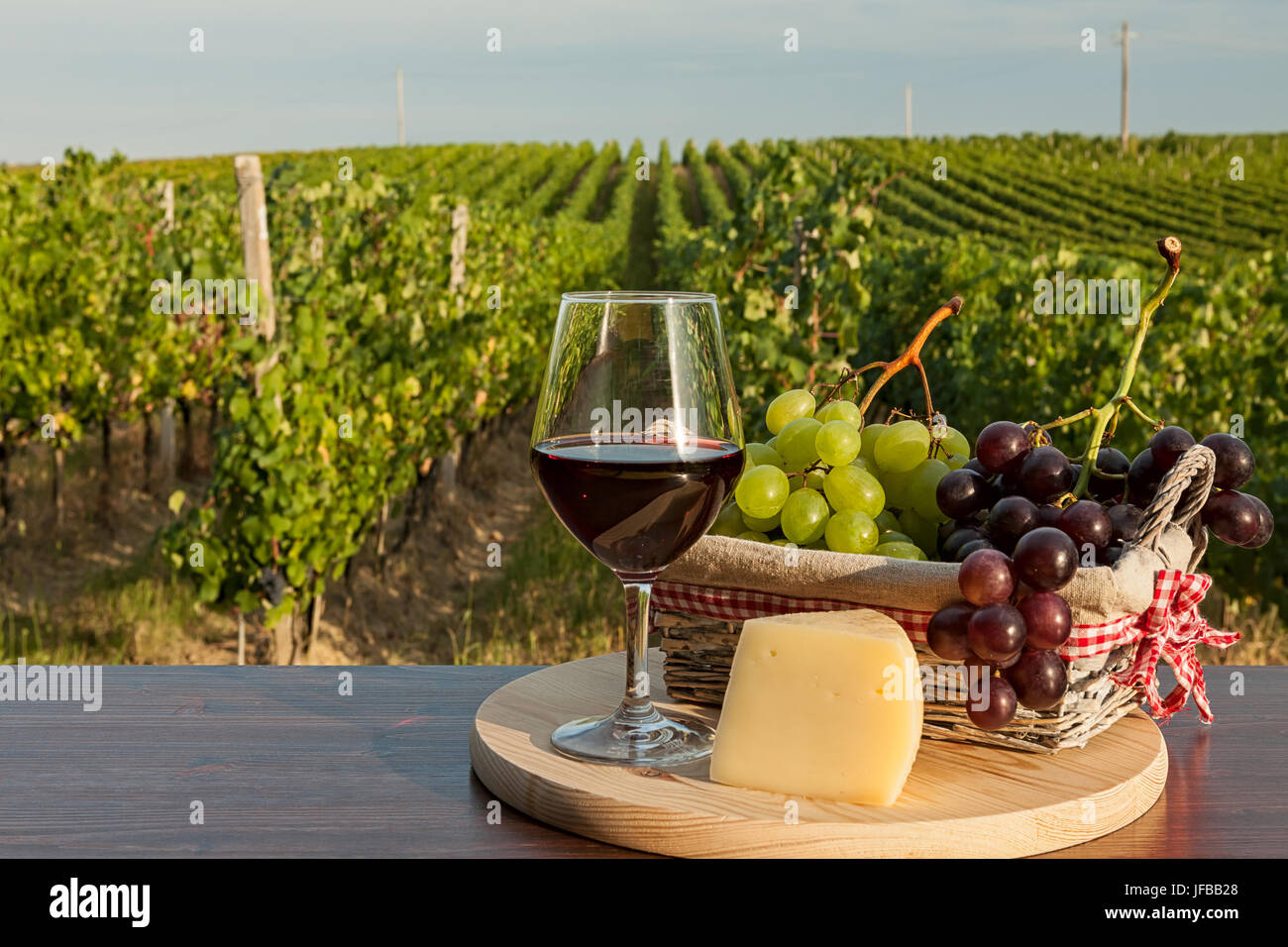 Glas Rotwein vor einem Weinberg Stockfoto