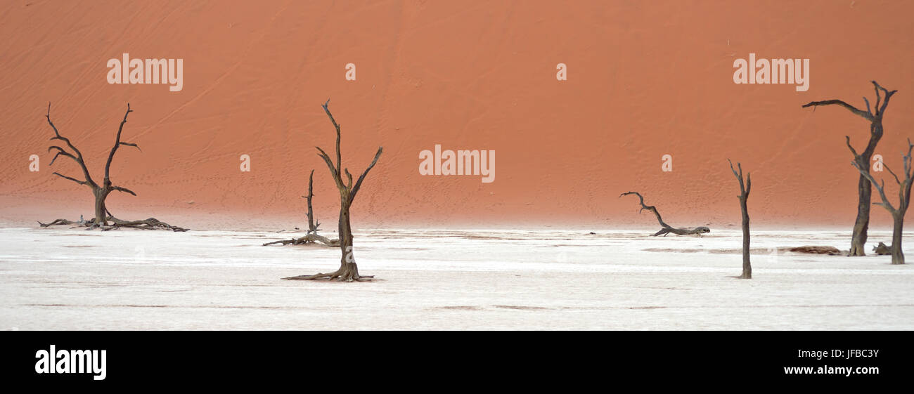 Sossusvlei, Namibia Stockfoto