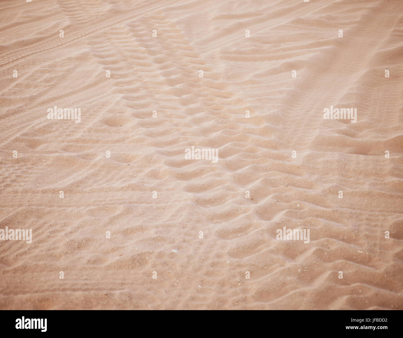 Spurweite auf sand Stockfoto