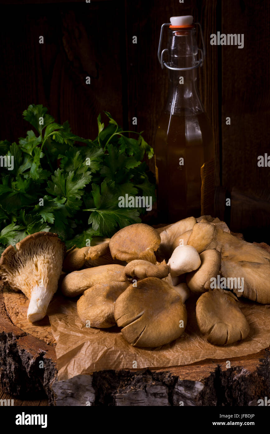 Pleurotus Stockfoto