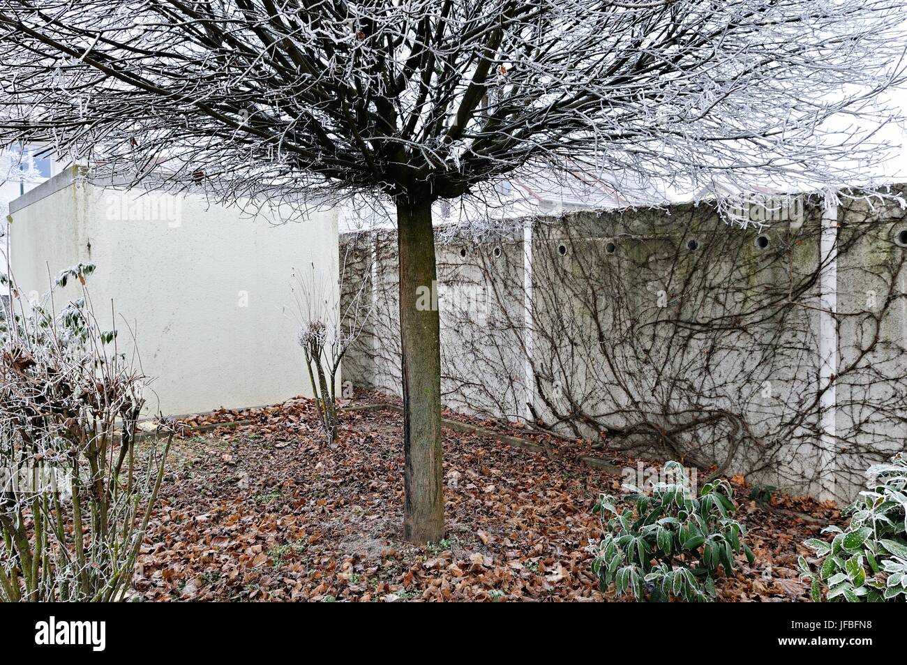 Frosty in der Ecke der Stadt garten Stockfoto