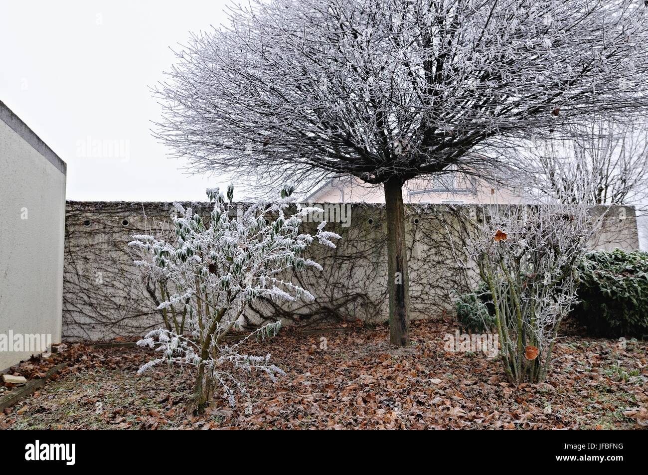 Eine kleine Ecke im städtischen Garten mit Frost Stockfoto