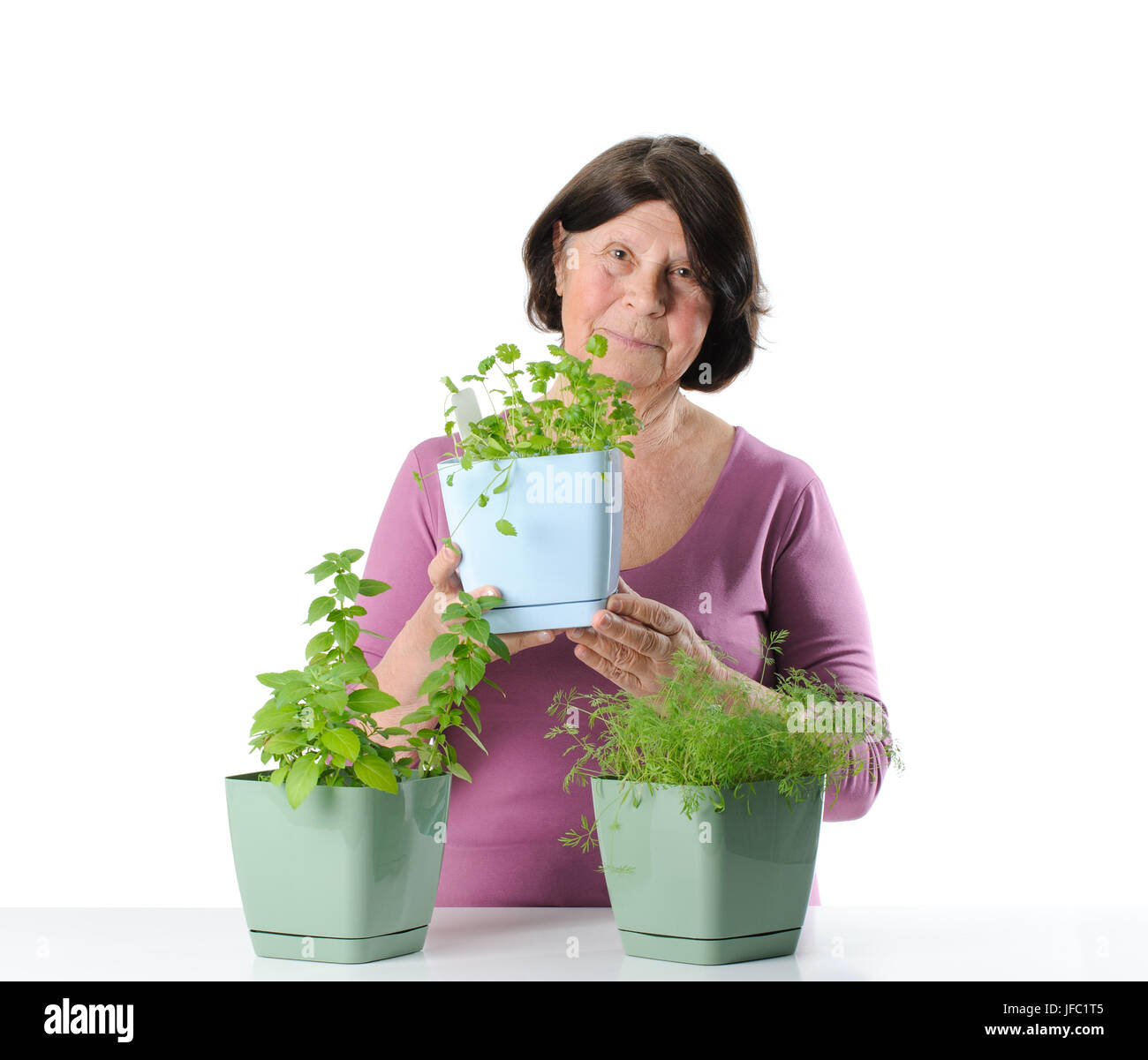 Ältere Frau mit Kraut Sämlinge in Töpfen. Stockfoto