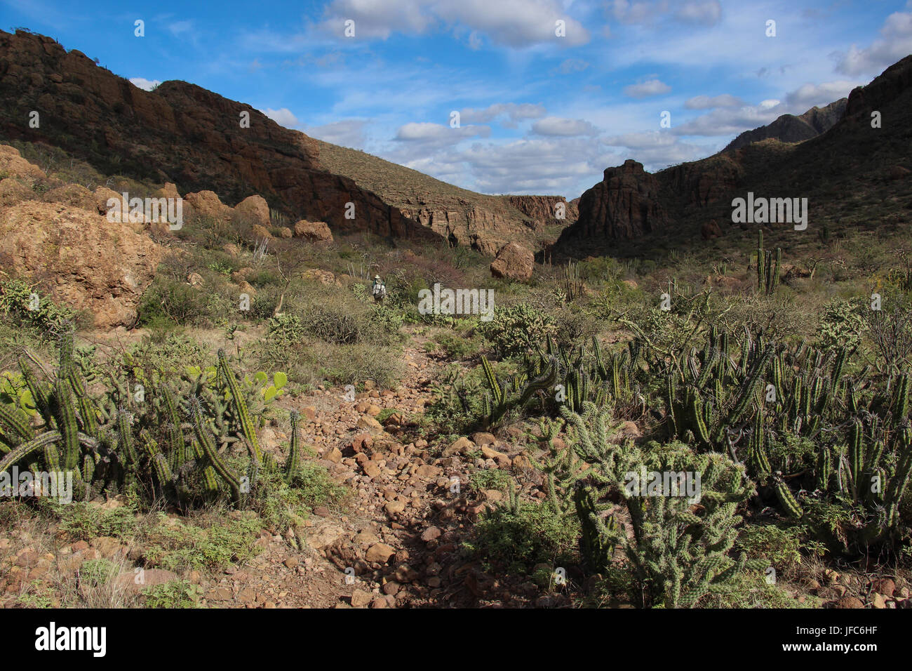 Das alte Camino Real, die Baja California Missionen verknüpft immer noch können verfolgt werden: Es klettert die Foto-Center von Santa Marta, die Kerbe voraus. Stockfoto