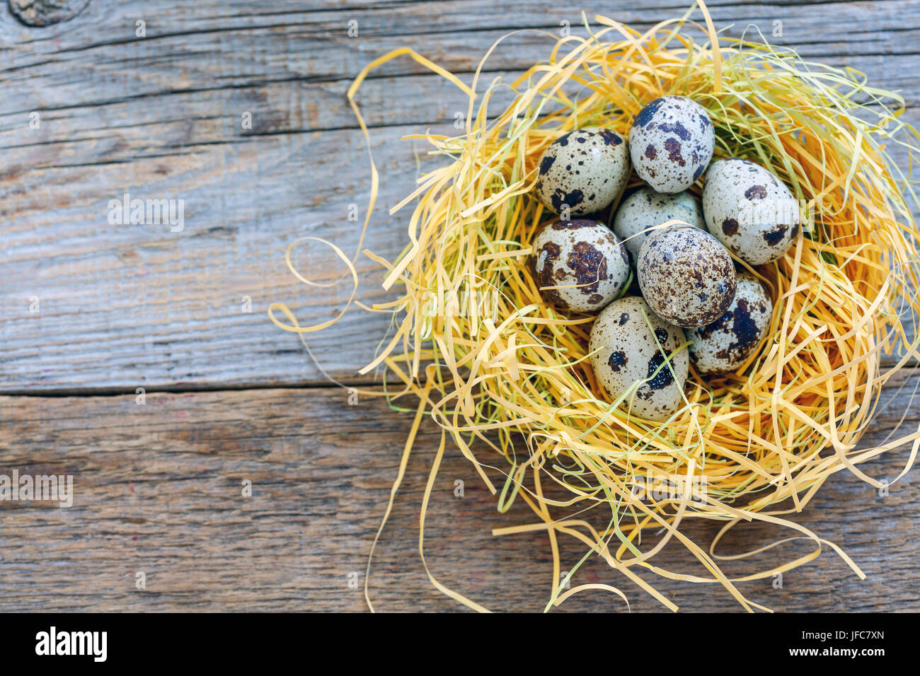 Motley Wachtel Eier im Nest. Stockfoto