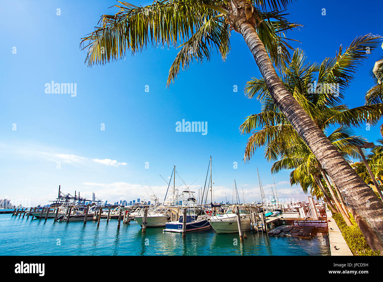 Hafen in Miami, Florida Stockfoto