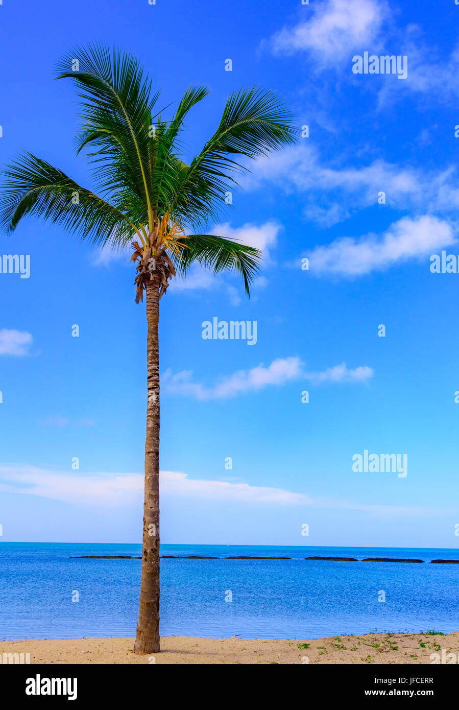 Sun Caribbean Beach Stockfoto