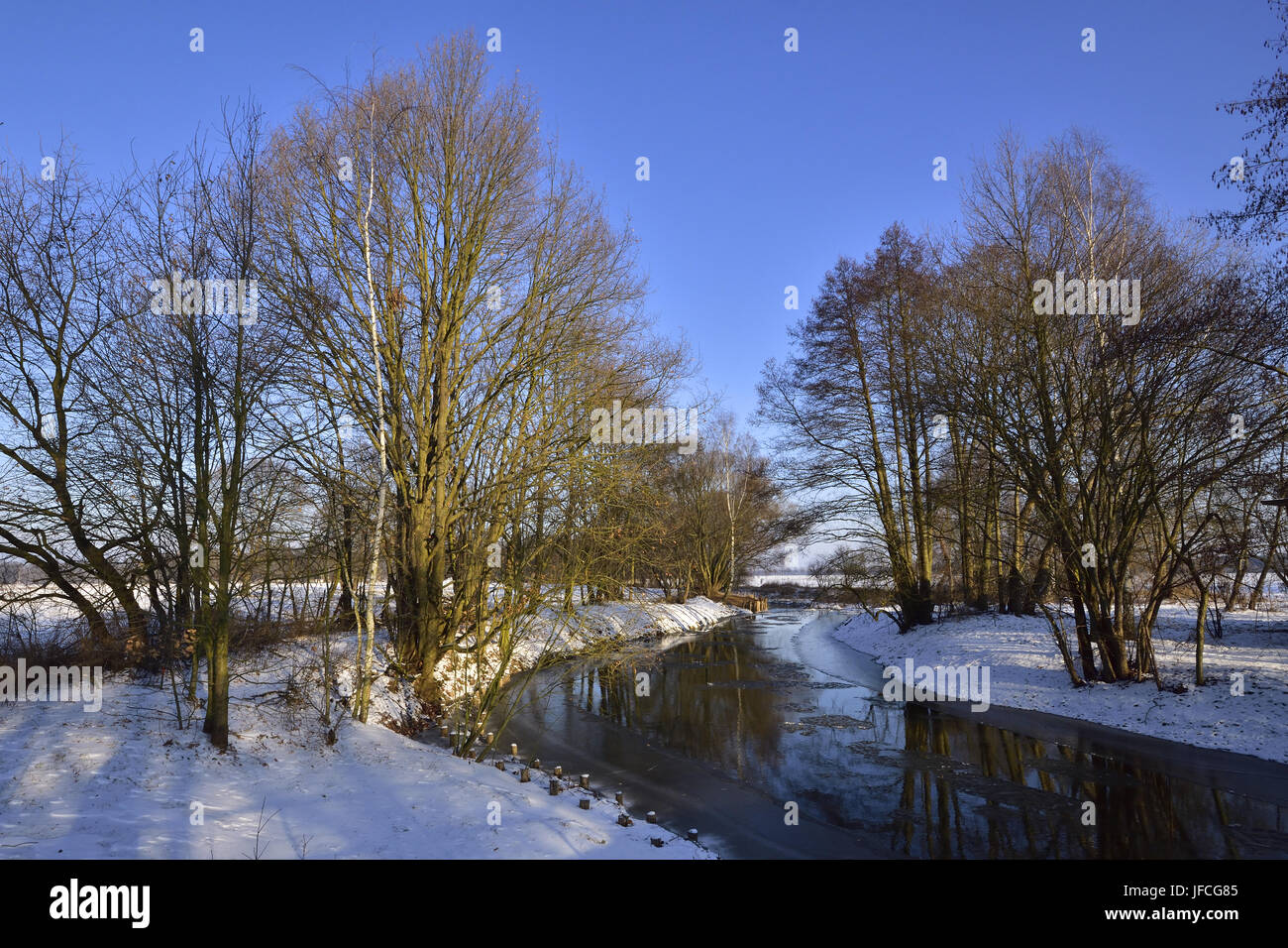 Winter in der Sächsischen Stockfoto