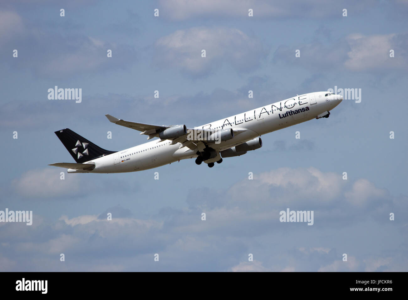 FRANKFURT, GERMANY - JUL 11: Lufthansa (Star Alliance) Airbus A340 abheben am 11. Juli 2013 in Frankfurt am Main, Airbus A340 ist ein vierstrahliges Großraumflugzeug comme Stockfoto