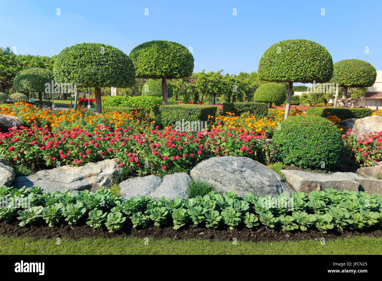 Schöne Zwerg Palme und Blumenbeet im Garten Stockfoto