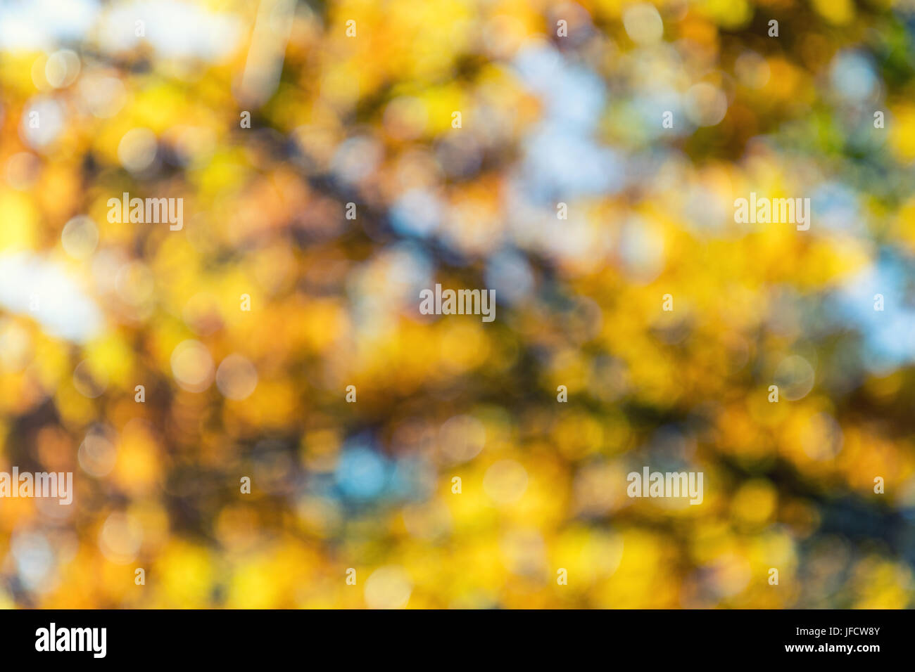 Bokeh verschwimmt Farbe Licht Herbst Farbe Stockfoto