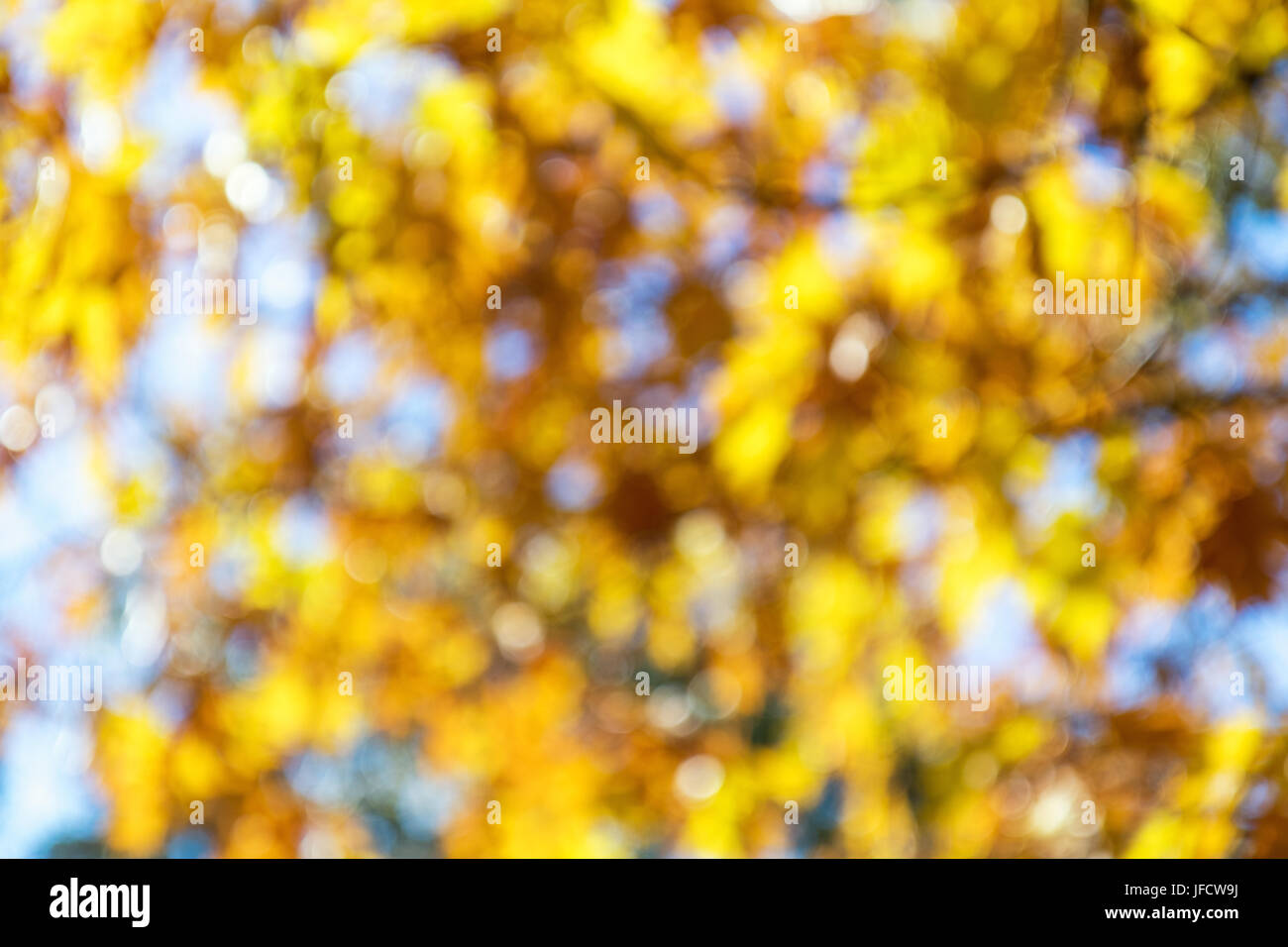 Bokeh verschwimmt Farbe Licht Herbst Farbe Stockfoto