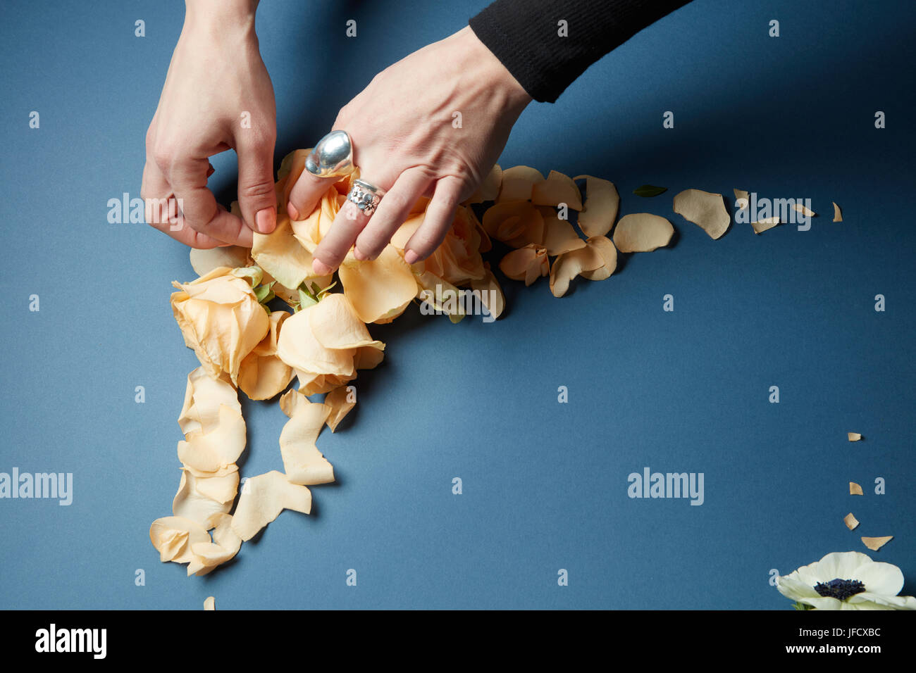 Dekoration der marine blau hintergrund Stockfoto