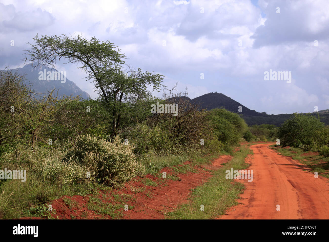 Tsavo Ost National Park Stockfoto