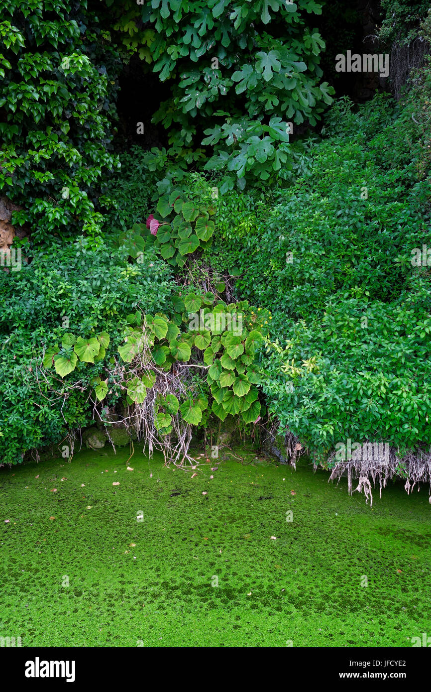 Wasser-Garten in der Nähe von Torre di San Niccolò Stockfoto