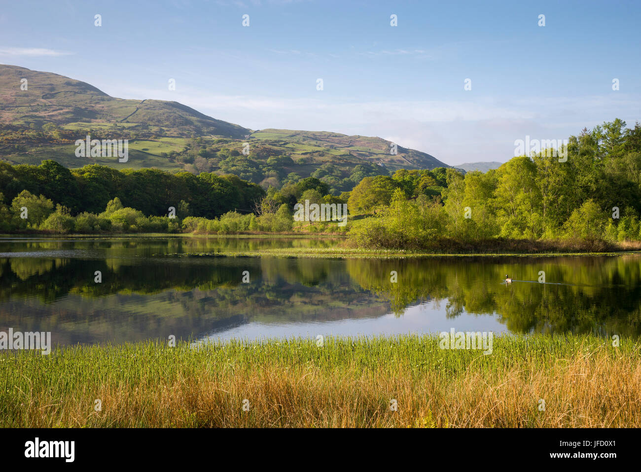 Llyn Tecwyn Isaf, einem schönen See in der Nähe von Harlech im Snowdonia National Park, Nord-Wales. Stockfoto