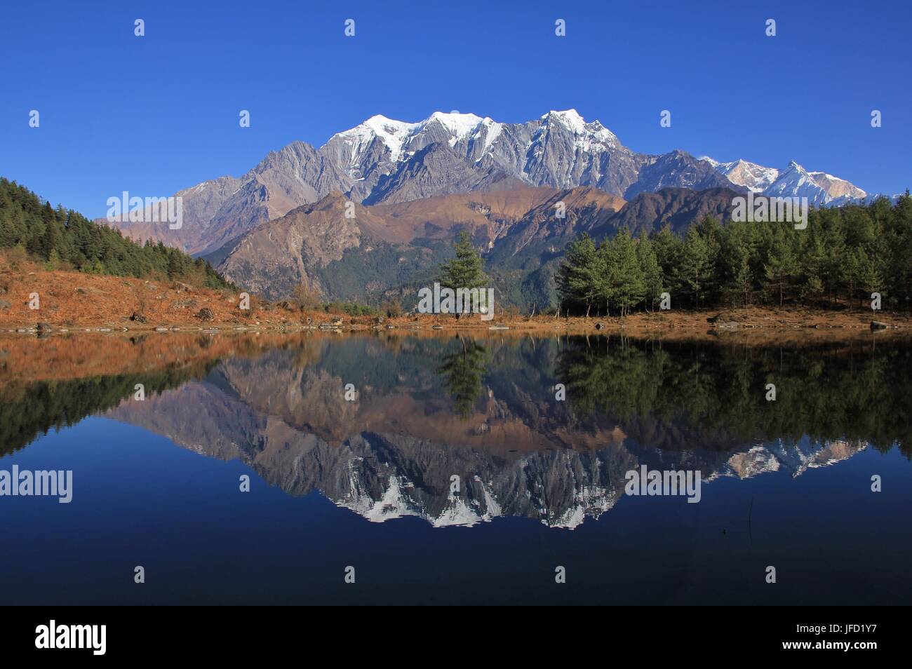 Nilgiri Bereich der Spiegelung in Sekong See Stockfoto