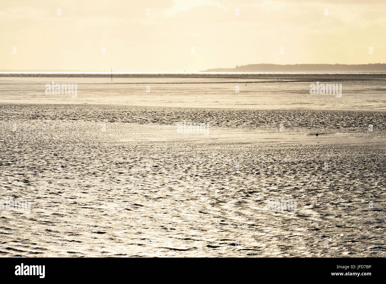 Wattenmeer mit der Insel Föhr am Horizont, Wattenmeer in der Nähe von Halligland, Nordfriesland, Schleswig-Holstein, Deutschland Stockfoto