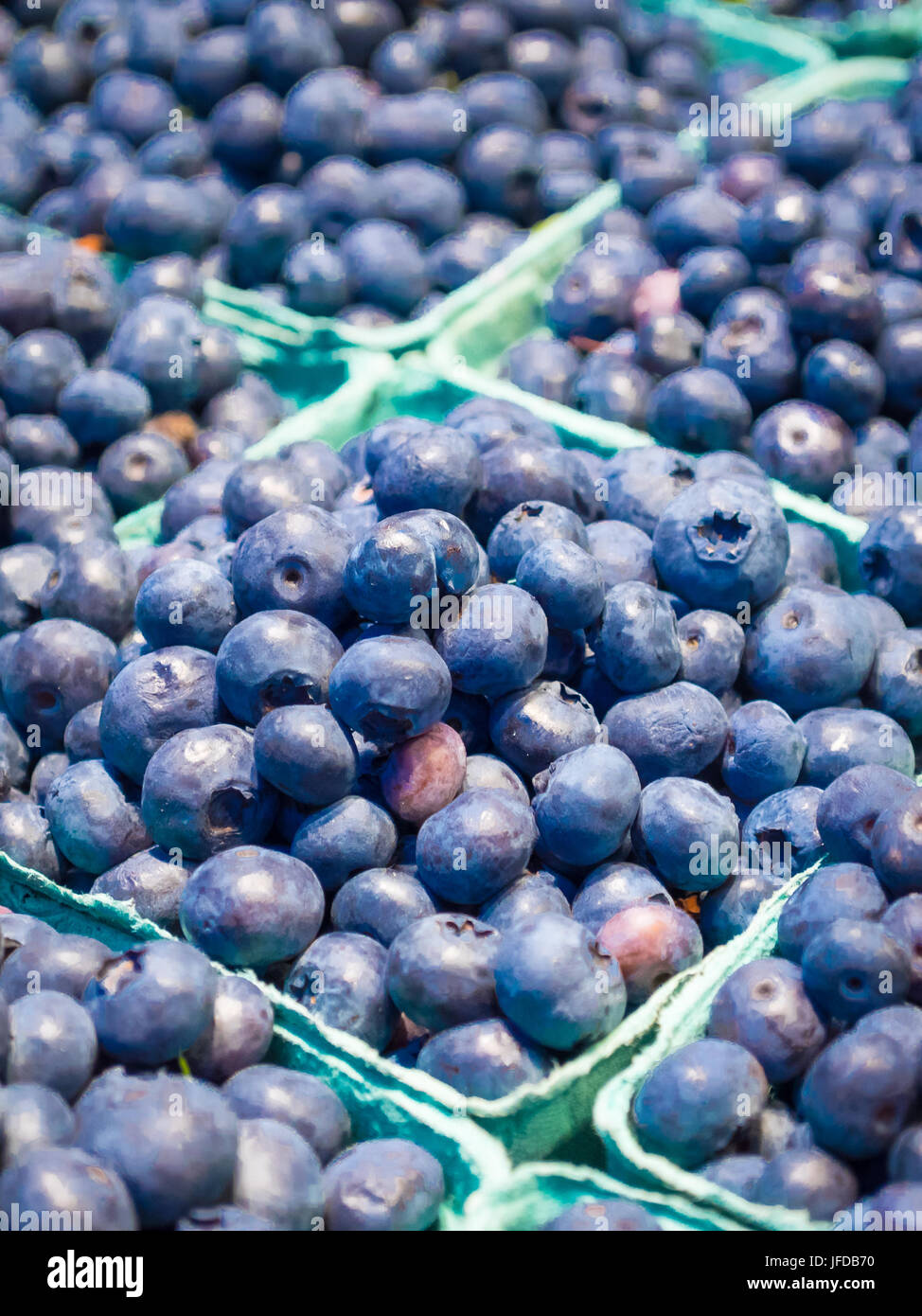 Bastkörbe Bio Heidelbeeren zum Verkauf an die Granville Island Public Market in Vancouver, British Columbia, Kanada. Stockfoto