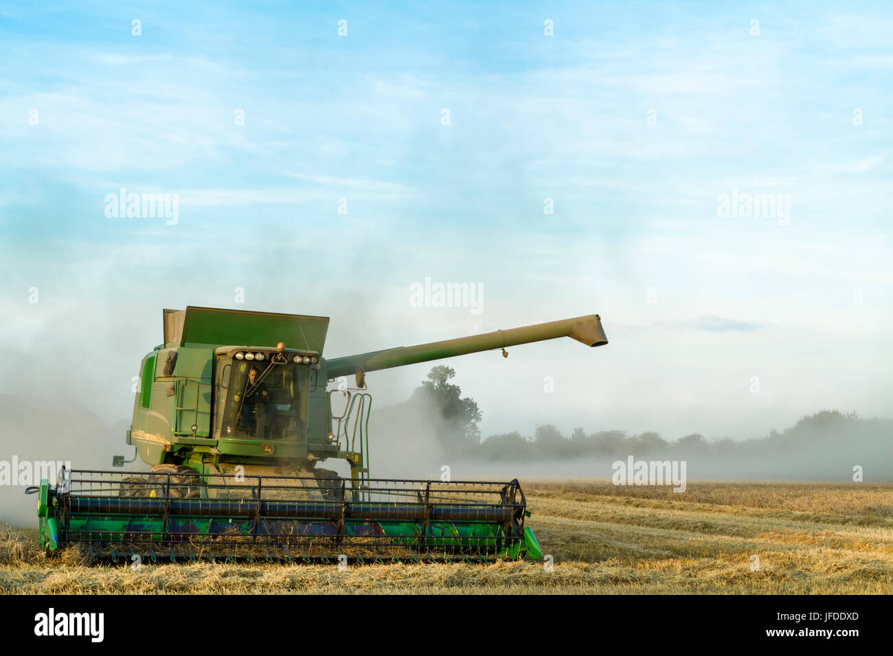Weizenernte. Feldhäcksler Ernte von Weizen mit Getreide Staub hängen in der Luft noch am Abend, Nottinghamshire, England, Großbritannien Stockfoto
