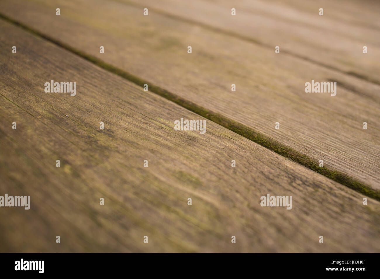 Nahaufnahme der Holzterrasse Planken, ein wenig Grün sind und schmutzig Stockfoto