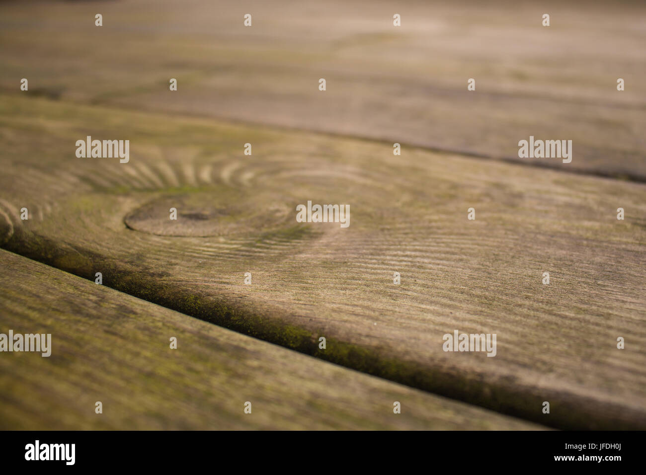 Nahaufnahme der Holzterrasse Planken, ein wenig Grün sind und schmutzig Stockfoto