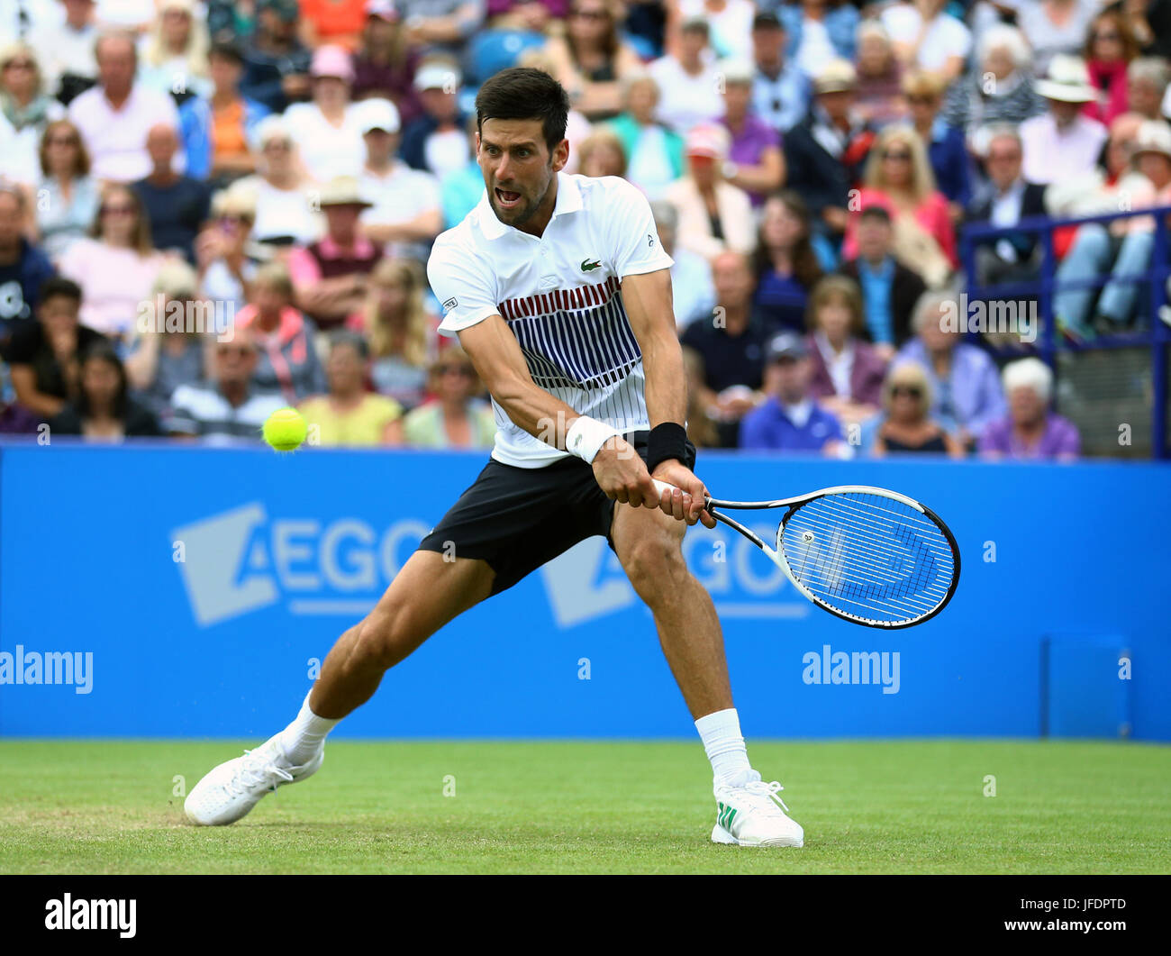 Serbiens Novak Djokovic in seinem Match gegen Russlands Daniil Medvedev tagsüber acht der AEGON International in Devonshire Park, Eastbourne. Stockfoto