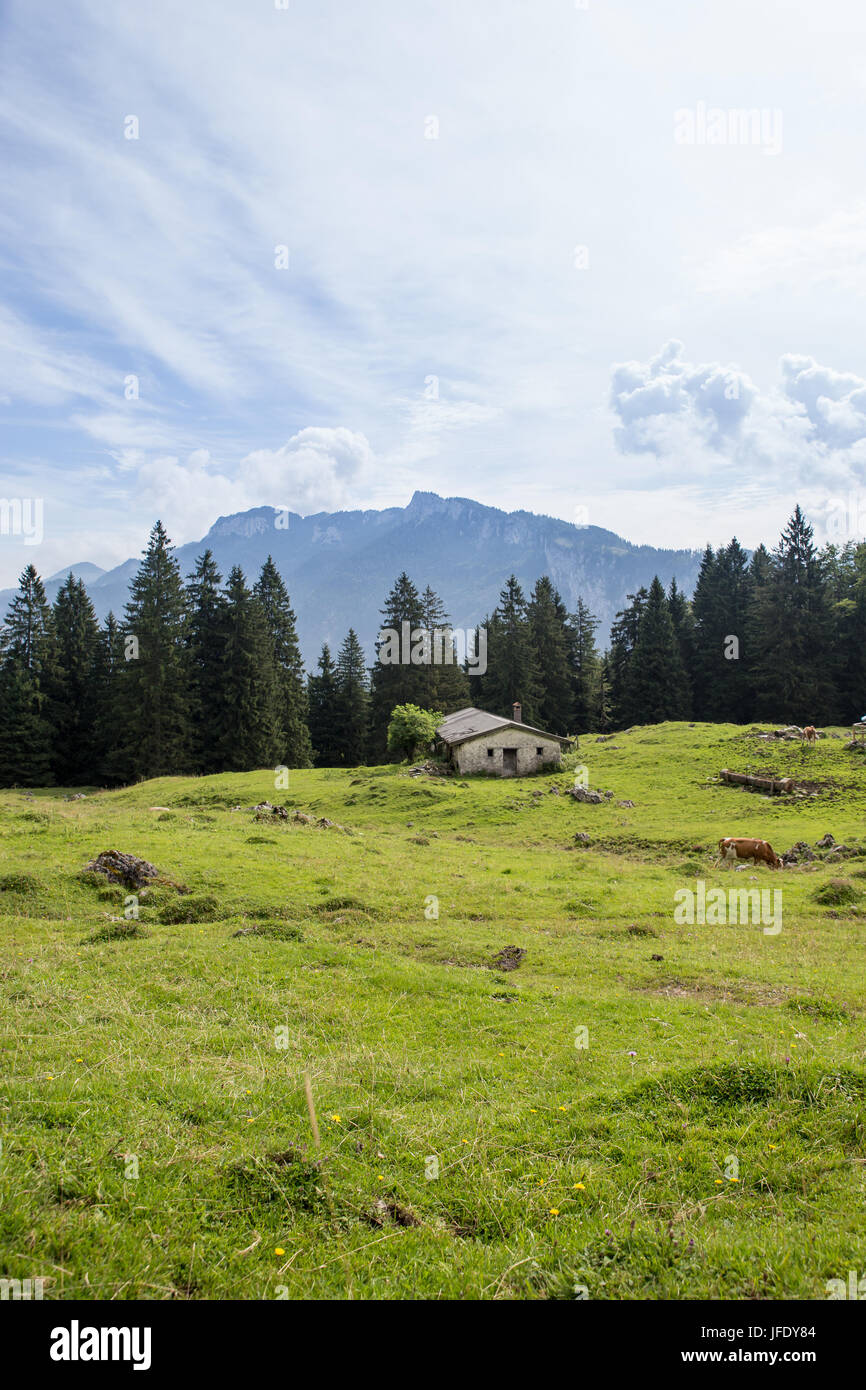 Scheune auf Wiese in den europäischen Alpen, Deutschland Stockfoto
