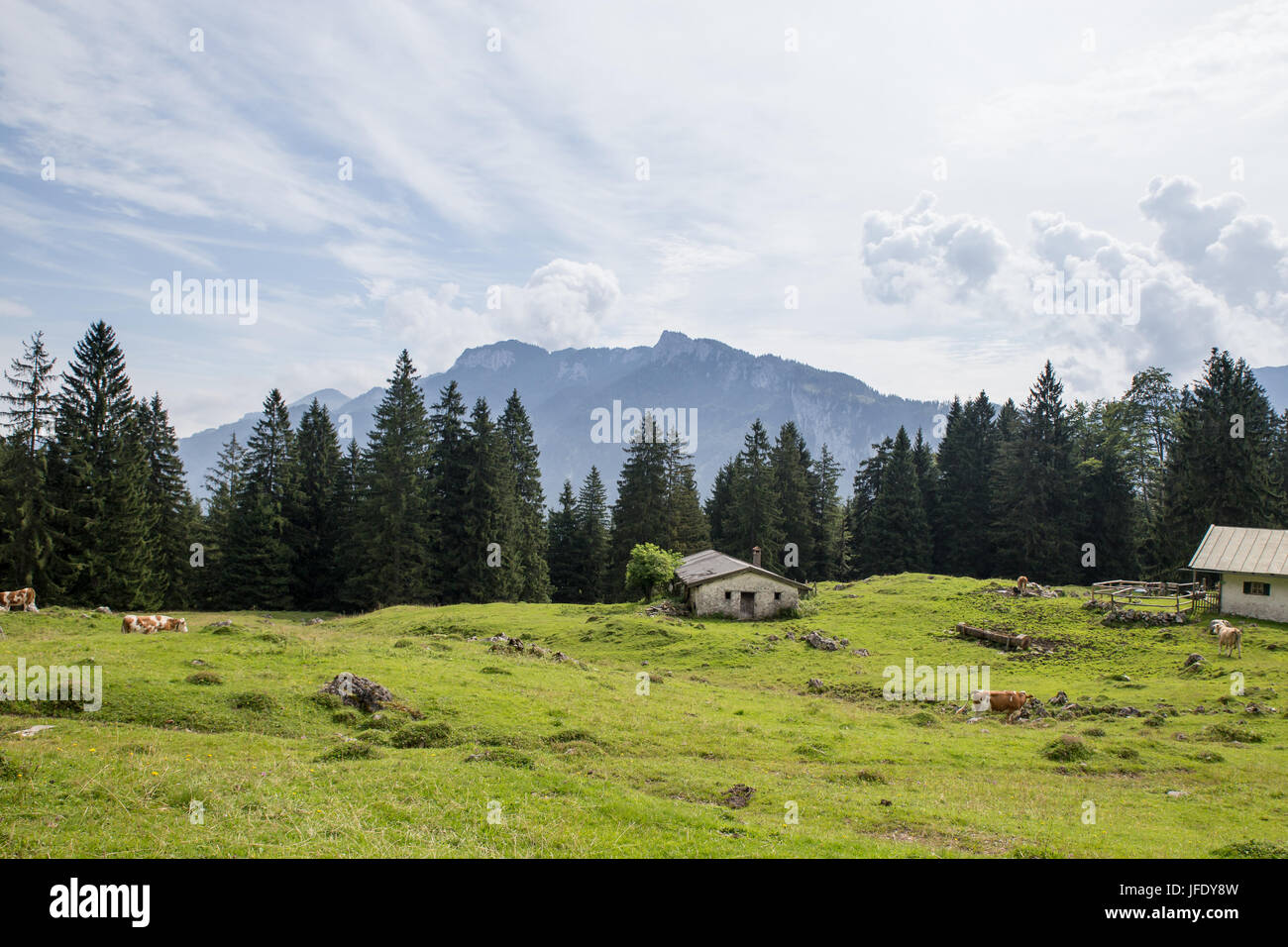 Scheune auf Wiese in den europäischen Alpen, Deutschland Stockfoto