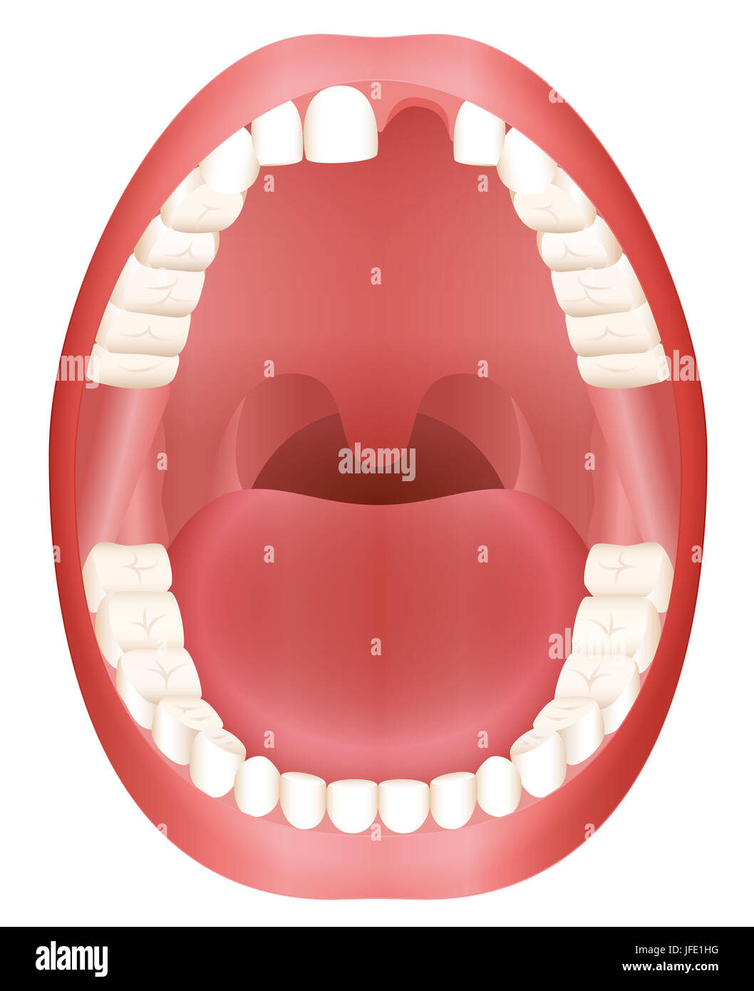 Zahnverlust - Erwachsenen Mund mit ein Schneidezahn fehlt. Stockfoto