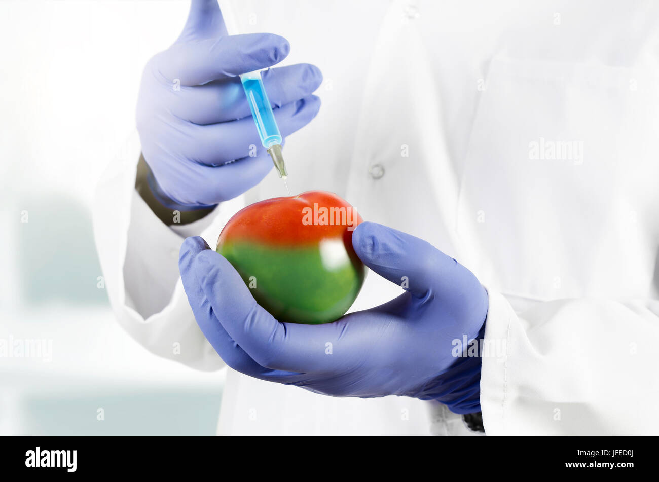 Techniker verwendet eine Spritze. Gentechnische Veränderung von Obst und Gemüse. GVO gereifte Tomaten in der hand Stockfoto