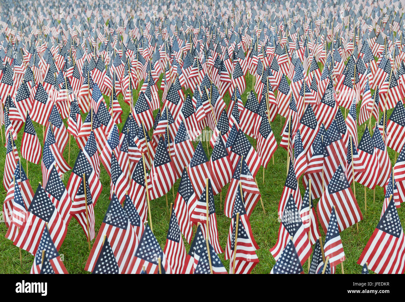 Amerikanische Flaggen gepflanzt zur Erinnerung an Soldaten, Memorial Day, Boston, MA Stockfoto