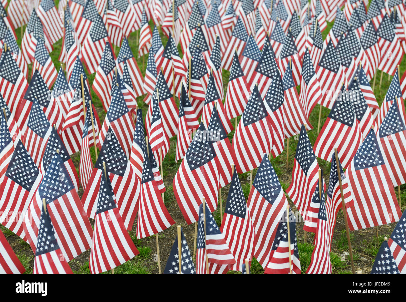 Amerikanische Flaggen gepflanzt zur Erinnerung an Soldaten, Memorial Day, Boston, MA Stockfoto