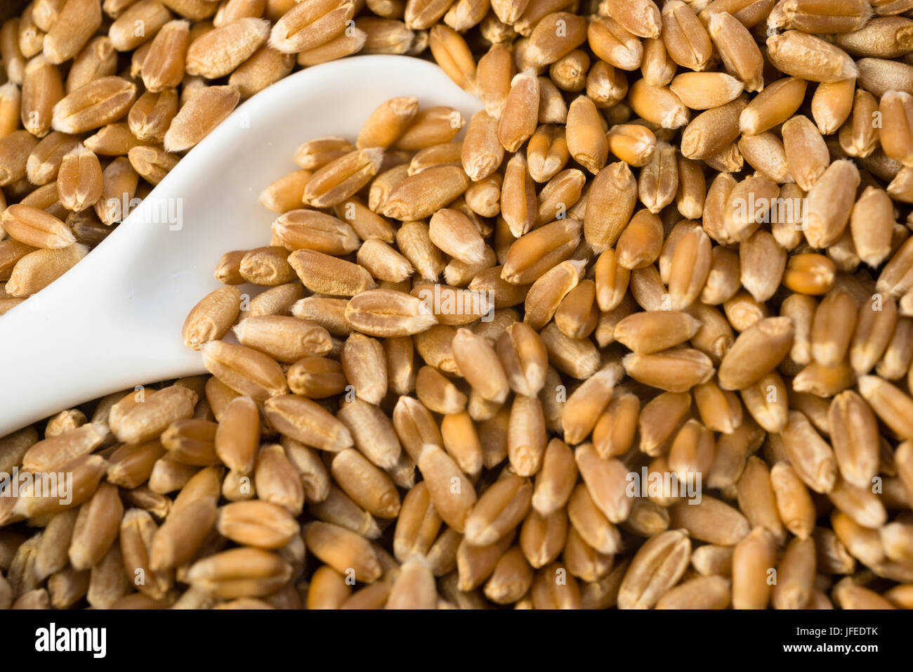 Eine Tasse rote Weizen Beeren mit Löffel Stockfoto